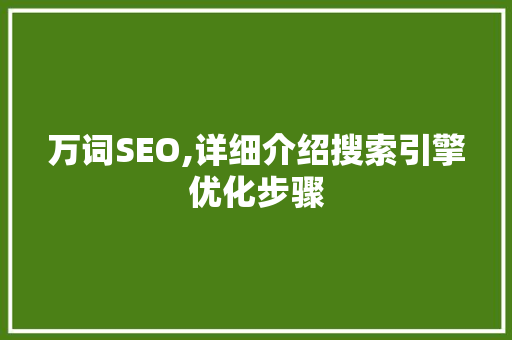 万词SEO,详细介绍搜索引擎优化步骤