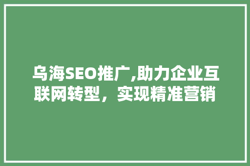 乌海SEO推广,助力企业互联网转型，实现精准营销