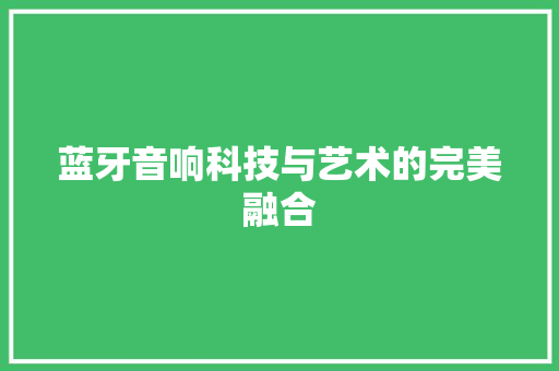 蓝牙音响科技与艺术的完美融合