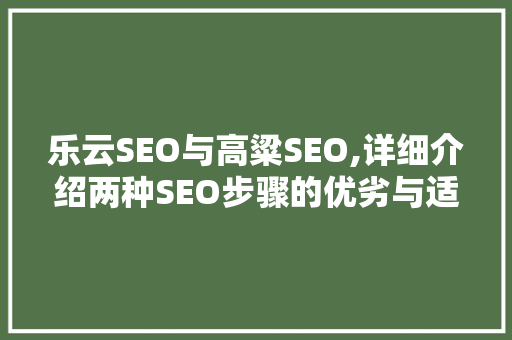 乐云SEO与高粱SEO,详细介绍两种SEO步骤的优劣与适用场景