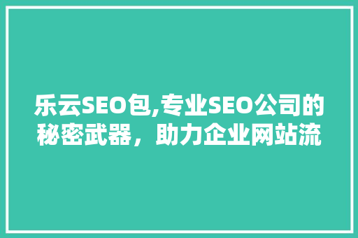 乐云SEO包,专业SEO公司的秘密武器，助力企业网站流量飙升
