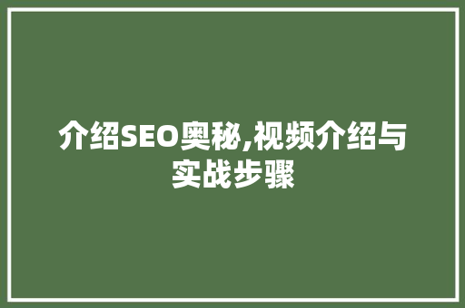 介绍SEO奥秘,视频介绍与实战步骤