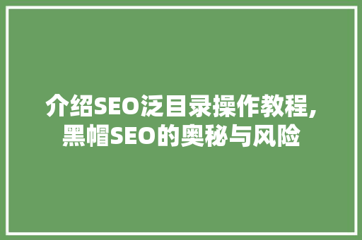 介绍SEO泛目录操作教程,黑帽SEO的奥秘与风险
