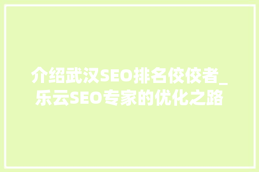 介绍武汉SEO排名佼佼者_乐云SEO专家的优化之路