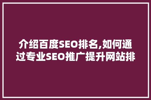 介绍百度SEO排名,如何通过专业SEO推广提升网站排名