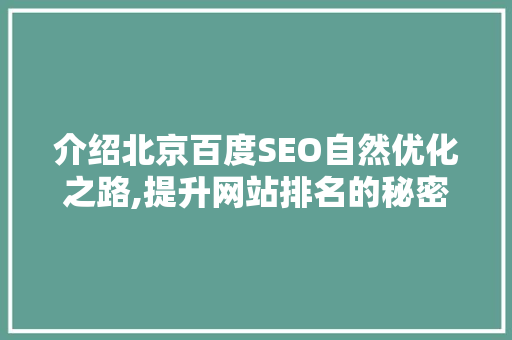 介绍北京百度SEO自然优化之路,提升网站排名的秘密武器