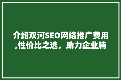介绍双河SEO网络推广费用,性价比之选，助力企业腾飞