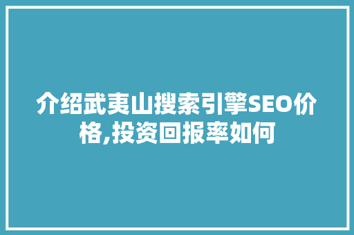 介绍武夷山搜索引擎SEO价格,投资回报率如何