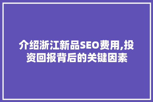 介绍浙江新品SEO费用,投资回报背后的关键因素