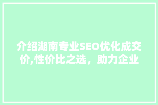 介绍湖南专业SEO优化成交价,性价比之选，助力企业腾飞