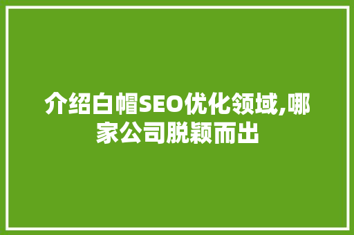 介绍白帽SEO优化领域,哪家公司脱颖而出