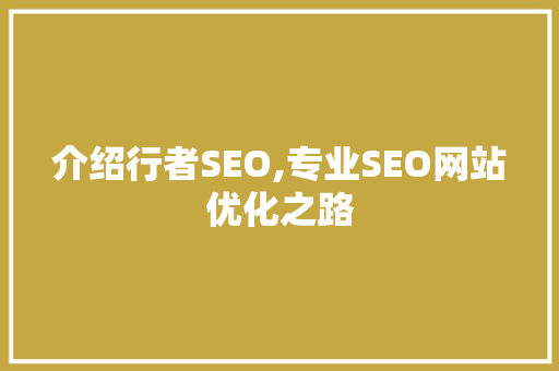 介绍行者SEO,专业SEO网站优化之路