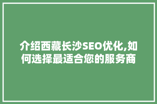 介绍西藏长沙SEO优化,如何选择最适合您的服务商