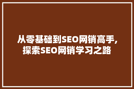 从零基础到SEO网销高手,探索SEO网销学习之路