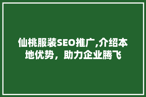 仙桃服装SEO推广,介绍本地优势，助力企业腾飞