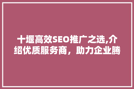 十堰高效SEO推广之选,介绍优质服务商，助力企业腾飞