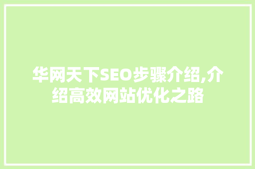 华网天下SEO步骤介绍,介绍高效网站优化之路