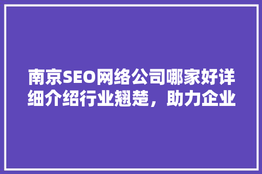 南京SEO网络公司哪家好详细介绍行业翘楚，助力企业腾飞