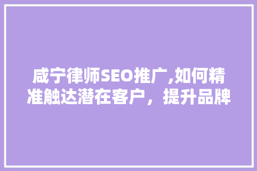 咸宁律师SEO推广,如何精准触达潜在客户，提升品牌影响力