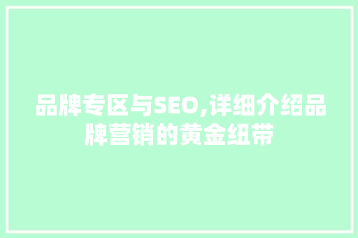 品牌专区与SEO,详细介绍品牌营销的黄金纽带
