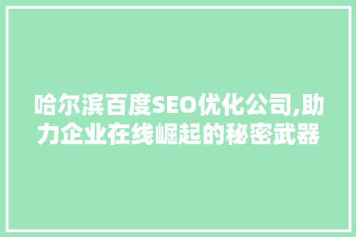 哈尔滨百度SEO优化公司,助力企业在线崛起的秘密武器
