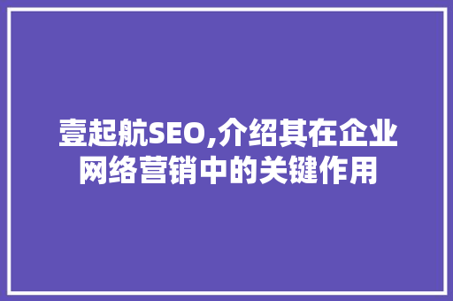 壹起航SEO,介绍其在企业网络营销中的关键作用