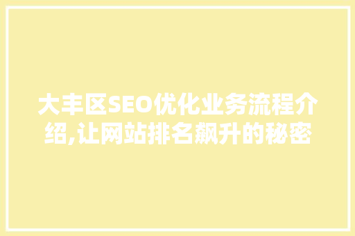 大丰区SEO优化业务流程介绍,让网站排名飙升的秘密武器