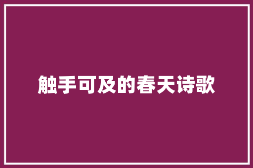 大连SEO公司助力企业网络营销，开启数字时代新篇章