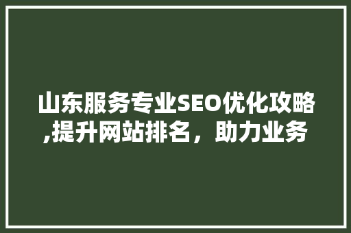 山东服务专业SEO优化攻略,提升网站排名，助力业务腾飞