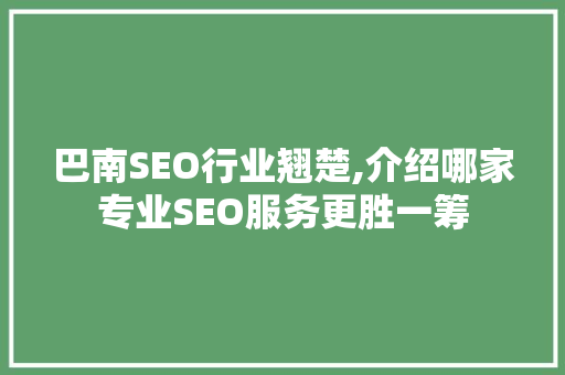 巴南SEO行业翘楚,介绍哪家专业SEO服务更胜一筹