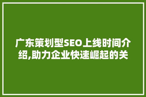 广东策划型SEO上线时间介绍,助力企业快速崛起的关键一步