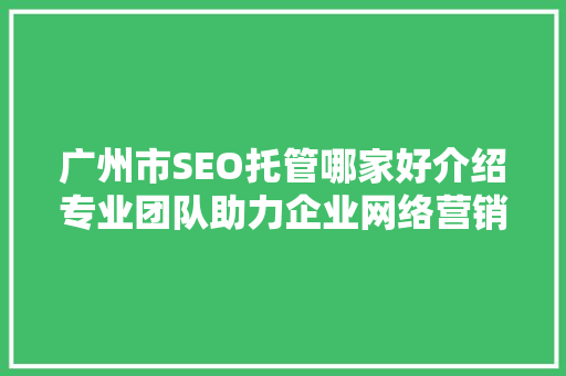 广州市SEO托管哪家好介绍专业团队助力企业网络营销成功之路