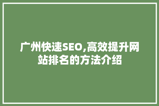 广州快速SEO,高效提升网站排名的方法介绍