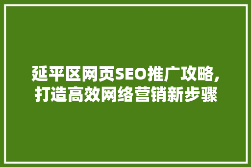 延平区网页SEO推广攻略,打造高效网络营销新步骤