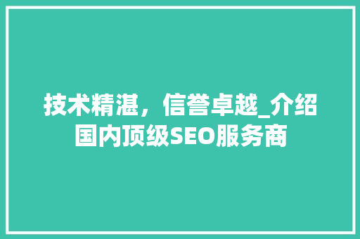 技术精湛，信誉卓越_介绍国内顶级SEO服务商