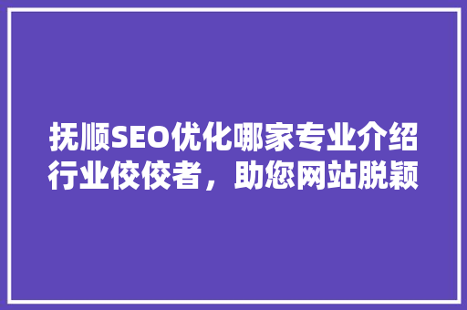 抚顺SEO优化哪家专业介绍行业佼佼者，助您网站脱颖而出！