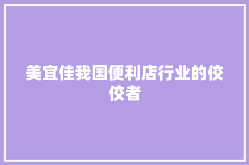 美宜佳我国便利店行业的佼佼者