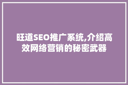 旺道SEO推广系统,介绍高效网络营销的秘密武器