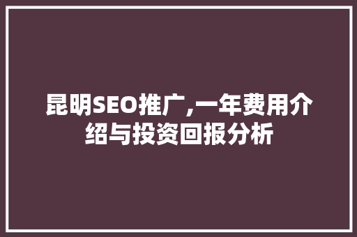 昆明SEO推广,一年费用介绍与投资回报分析