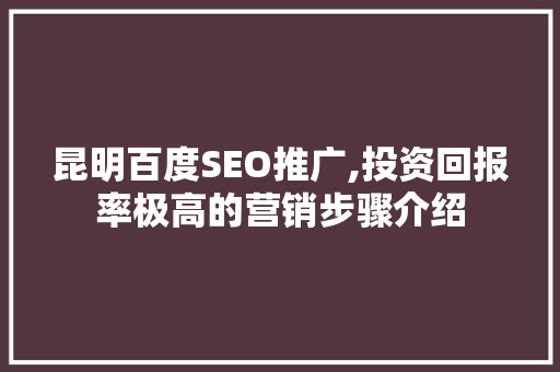 昆明百度SEO推广,投资回报率极高的营销步骤介绍