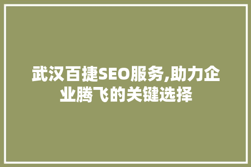 武汉百捷SEO服务,助力企业腾飞的关键选择