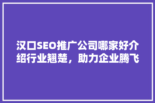 汉口SEO推广公司哪家好介绍行业翘楚，助力企业腾飞