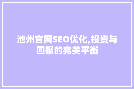 池州官网SEO优化,投资与回报的完美平衡