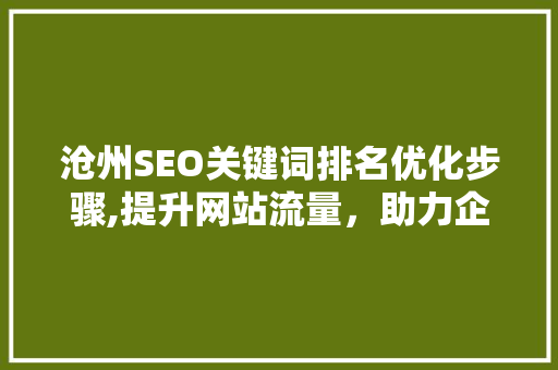 沧州SEO关键词排名优化步骤,提升网站流量，助力企业腾飞
