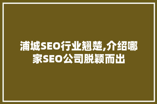 浦城SEO行业翘楚,介绍哪家SEO公司脱颖而出