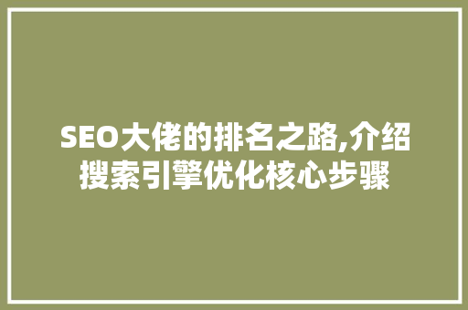 SEO大佬的排名之路,介绍搜索引擎优化核心步骤