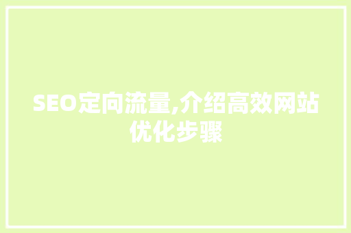 SEO定向流量,介绍高效网站优化步骤