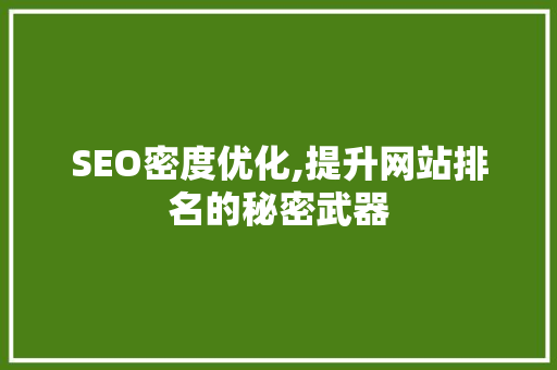 SEO密度优化,提升网站排名的秘密武器