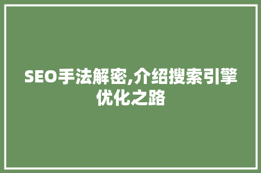 SEO手法解密,介绍搜索引擎优化之路