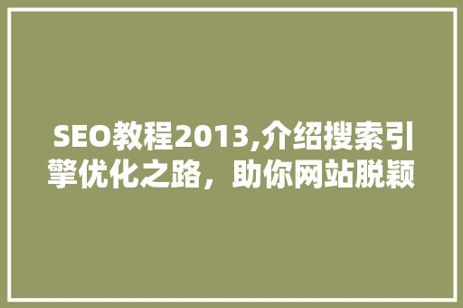 SEO教程2013,介绍搜索引擎优化之路，助你网站脱颖而出